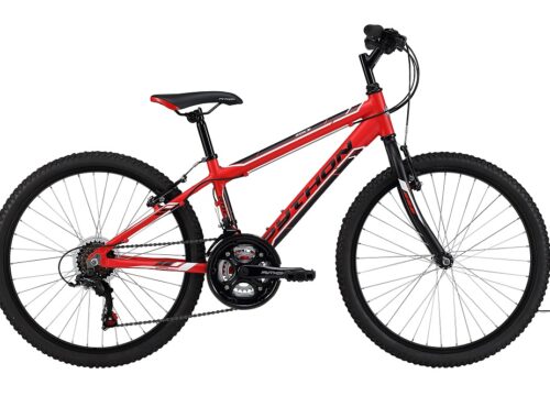 Python Rock 24 Boys' Mountain Bike